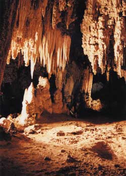 Carlsbad Caverns