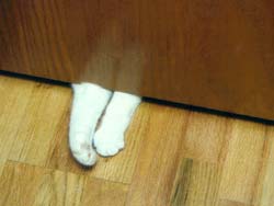 "OK, I'm done in hear, can I come out now?"