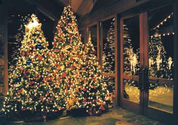 Christmas trees