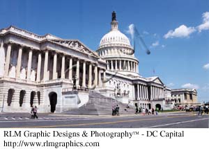 DC Capital