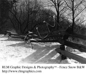 Fence Snow BW